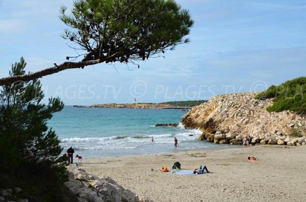 무리에 Sous Le Soleil Des Alpilles 아파트 외부 사진